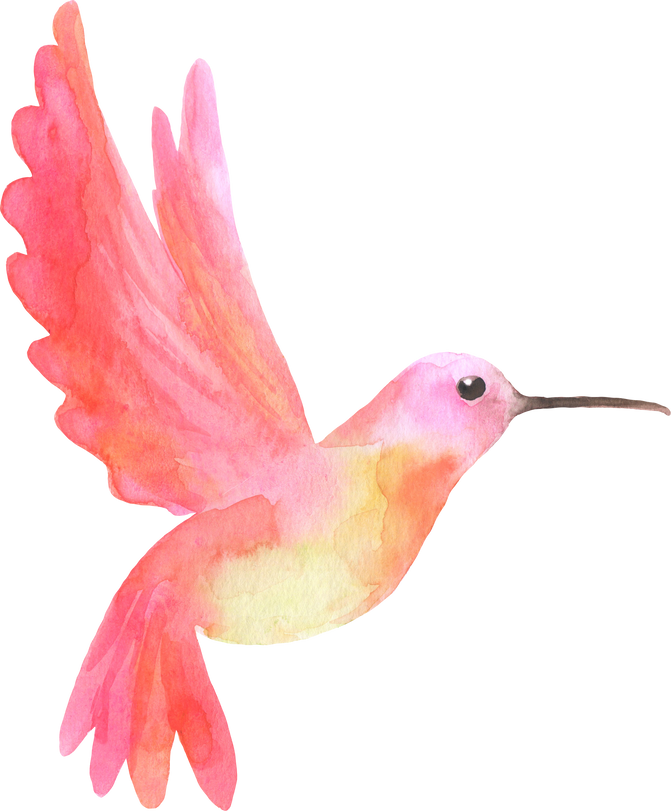 Watercolor pink hummingbird