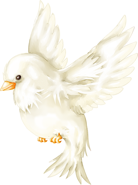 white bird watercolor illustration